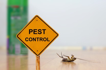 Pest Contol in Stockley Park, UB11. Call Now 020 8166 9746